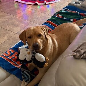 Meet your Posher, Tiffany